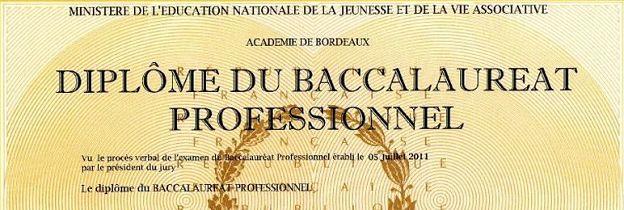 Bac pro