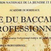 Bac pro