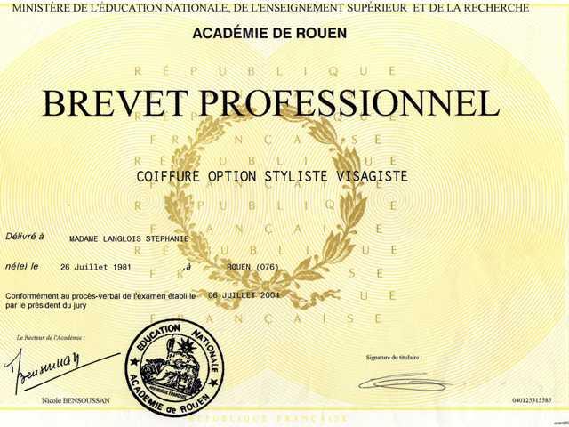 Brevet pro coiffure 1