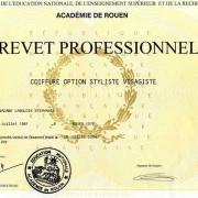 Brevet pro coiffure 1