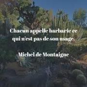 Montaigne redéfinit donc le concept de barbare : l'étrangeté et le jugement de valeur, « chacun appelle (barbarie ce qui n'est pas de son usage) » montre que la barbarie est une attribution