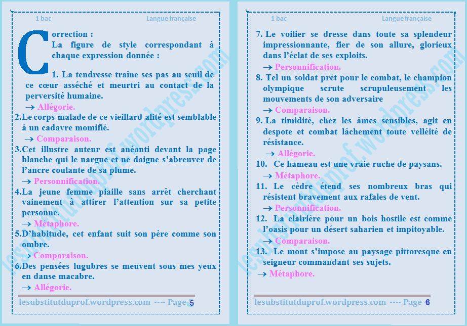 Bac Français] Comment analyser des figures de style dans le commentaire de  texte? 