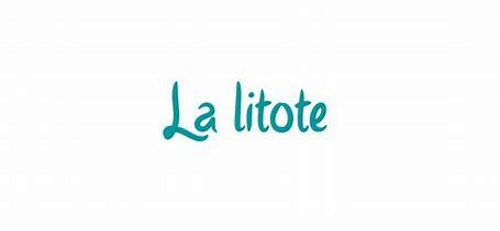 Comment analyser la litote dans un commentaire ?